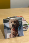 Custom Magnets