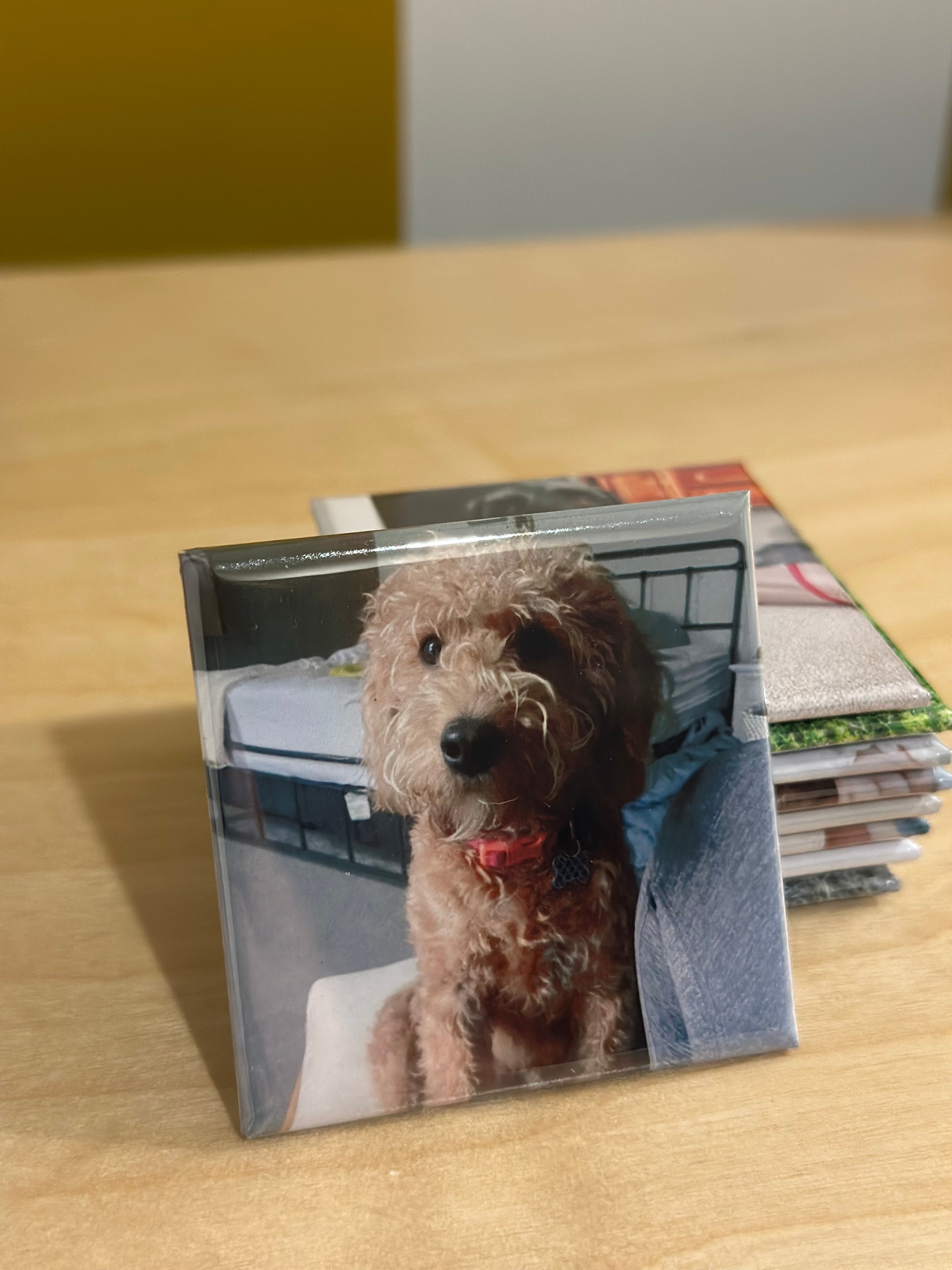 Custom Magnets